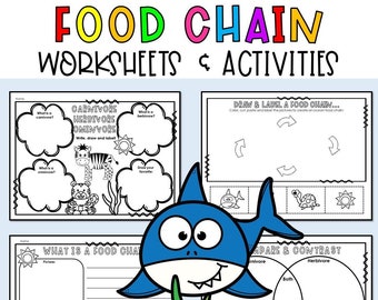 Food Chains & Food Webs Science Worksheets: Homeschool Activities