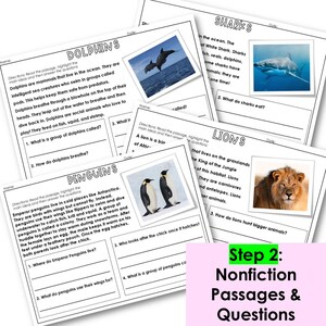 2nd Grade Animal Reading Comprehension Worksheets: Fluency Practice ...