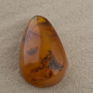 Natural Baltic Amber Teardrop Polished Unique Gemstone For Jewelry Vintage Gemstone Special Jewelry Supplies Genuine Raw Amber  12.8 grams
