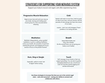 Op de afbeelding: Een witte en perzikkleurige infographic met de titel "Strategieën om je zenuwstelsel te ondersteunen". De infographic somt verschillende strategieën op om het zenuwstelsel te kalmeren, waaronder progressieve spierontspanning, koudetherapie, meditatie, ademhalingsoefeningen, zoemen, zingen, gorgelen en aanraking.