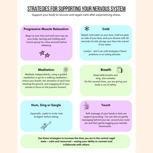 Nervous System Regulation Handout / Mental Health / Therapist Worksheet / Ventral Vagal State / Polyvagal Theory / Polyvagal Ladder