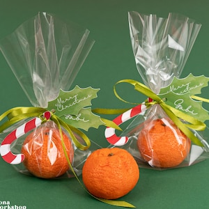 Könnte beinhalten: Drei Orangen, zwei davon in transparenten Zellophanbeuteln verpackt, die mit grünen Bändern und Stechpalmenblatt-Anhängern gebunden sind. Jeder Beutel hat einen Zuckerstangen-Akzent. Die Anhänger lesen "Merry Christmas" und "Gabi".
