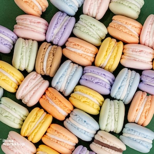 Könnte beinhalten: Eine Auswahl an bunten Macarons in verschiedenen Pastelltönen, darunter Rosa, Gelb, Blau, Grün und Orange. Die Macarons sind auf einer grünen Oberfläche angeordnet und zeigen ihr geschichtetes Design und ihre cremige Füllung. Das Bild zeigt das Logo "ilona workshop".