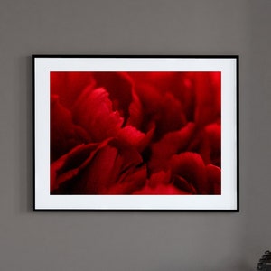 Loving Memories: Fine Art Flower Photography Print