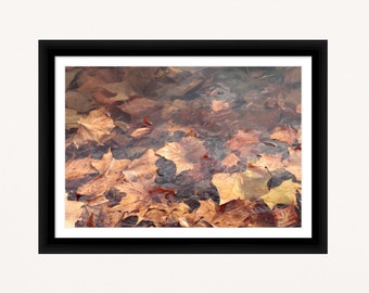 Framed Autumn Leaves Photography Print: Lake Nature Wall Art