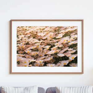 Biltmore Flowers: Fine Art Photography Print | Flower Photography | Floral Prints | Floral Wall Art | Biltmore Garden Flowers in Asheville