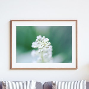 Green & White: Fine Art Photography Print