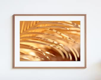 Gold Sago: Fine Art Photography Print