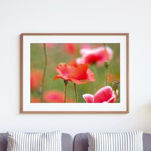 Poppy Field: Fine Art Photography Print | Flower Photography | Flower Art | Flower Prints