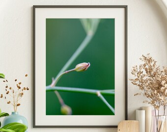 Green Beauty: Fine Art Photography Print | Wall Decor