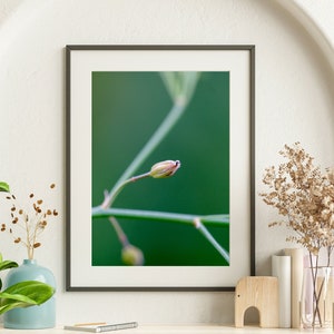 Green Beauty: Fine Art Photography Print | Wall Decor