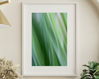 Fotografia abstrata verde calma: Papel Hahnemühle Baryta