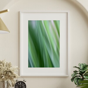 Green Calm: Fine Art Photography Print | Modern Art | Wall Decor | Home Decor