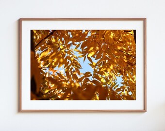 Portal to Autumn: Fine Art Photography Print | Autumn Decor