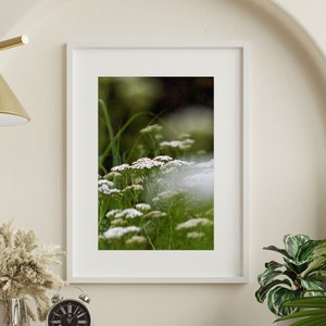 Dream Sequence: Fine Art Photography Print | Flower Photography | Abstract Photography | Creative Art