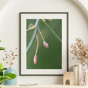 Bastet: Fine Art Photography Print | Wall Decor