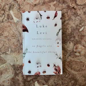 Les belles choses sont si fragiles : livre de poésie