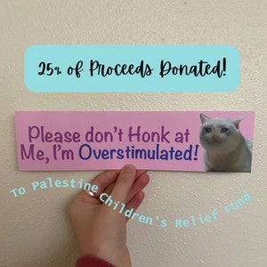 Please Don’t Honk at Me, I’m Overstimulated, Bumper Sticker, Car Sticker, Waterproof, Funny Cat Sticker, Crying Cat Meme, Meme Sticker