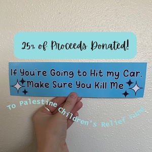 If You’re Going to Hit my Car, Bumper Sticker, Silly Car Bumper Sticker, 11*3 Sticker, Meme Sticker, Car Sticker, Unhinged Bumper Sticker