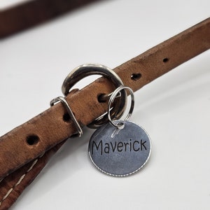 May include: A brown leather dog collar with a silver tag that says "Maverick".