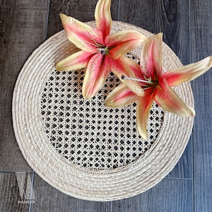 Coin Placemat Style, Handmade Iraca Palm Placemat, Table Decoration, Boho Table product from Colombia - wedding table gifts handwoven straw