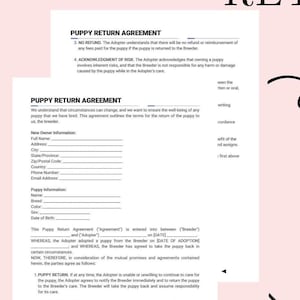 Contrato de devolución de cachorros: Plantilla para criador y propietario (PDF, Word, Canva)
