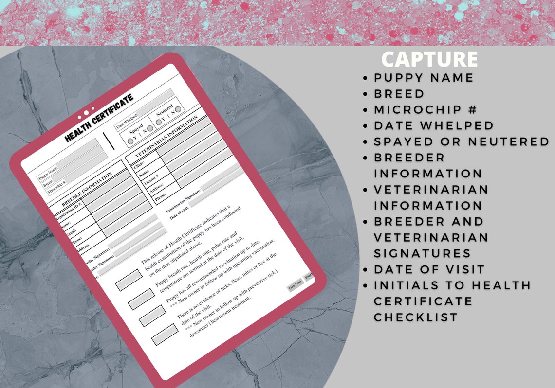 Fillable Dog Health Certificate Vaccination Health Etsy