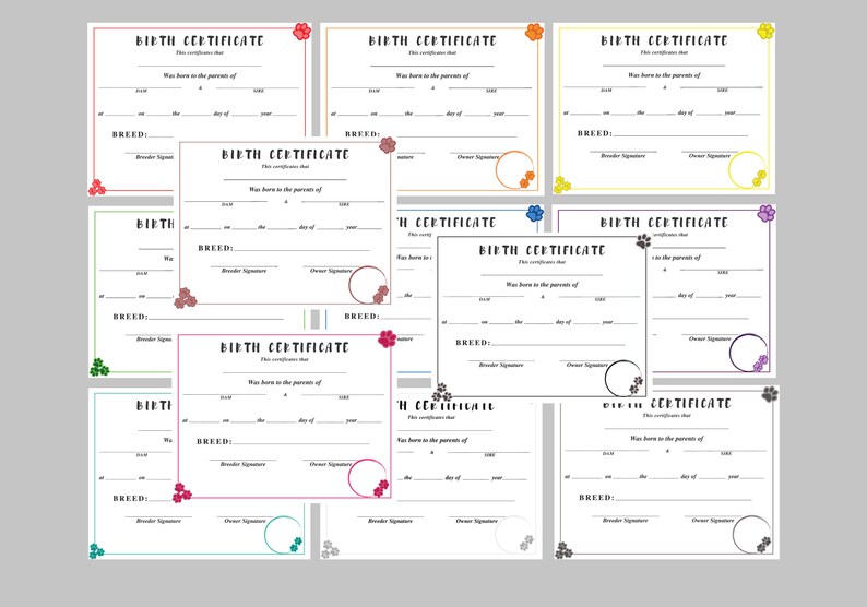 Pawfect Dedication Certificate, Puppy Birth Certificate, Collar