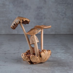May include: A group of three brown mushrooms with a natural wood base. The mushrooms are arranged in a cluster, with the largest mushroom on top and the smallest mushroom on the bottom.