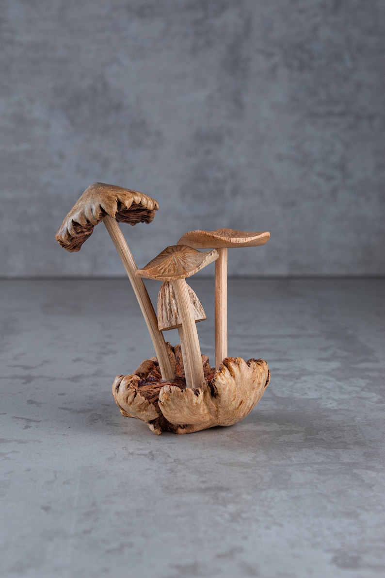 May include: A group of three brown mushrooms with a natural wood base. The mushrooms are arranged in a cluster, with the largest mushroom on top and the smallest mushroom on the bottom.