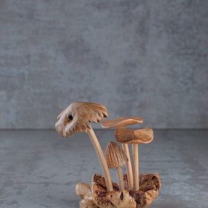 May include: A group of wooden mushrooms with brown and tan caps, arranged in a cluster on a gray background.