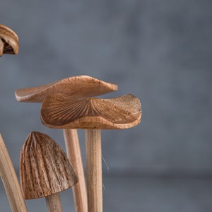 May include: A close-up of a wooden mushroom sculpture with a light brown color. The sculpture is made of several mushrooms with different sizes and shapes. The mushrooms are arranged in a cluster and have a natural wood grain.