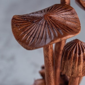 Handmade Wooden Mushroom Sculpture: Unique Jempinis Wood Carving, 5" bild 7
