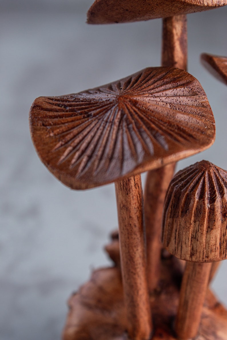 Handmade Wooden Mushroom Sculpture: Unique Jempinis Wood Carving, 5" bild 7
