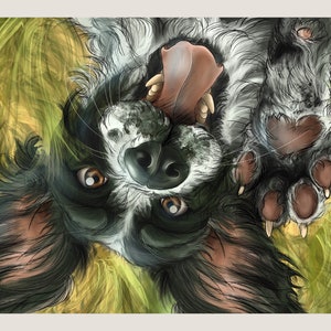 Carte d'anniversaire épagneul, carte pour amoureux des chiens, carte cocker, carte drôle de Sprocker spaniel, carte épagneul pour maman, carte du chien