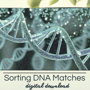 以下が含まれることがあります： DNAマッチをソートするためのデジタルダウンロード。画像は、白いドットのある暗い背景に対して、青と緑のDNA鎖を示しています。