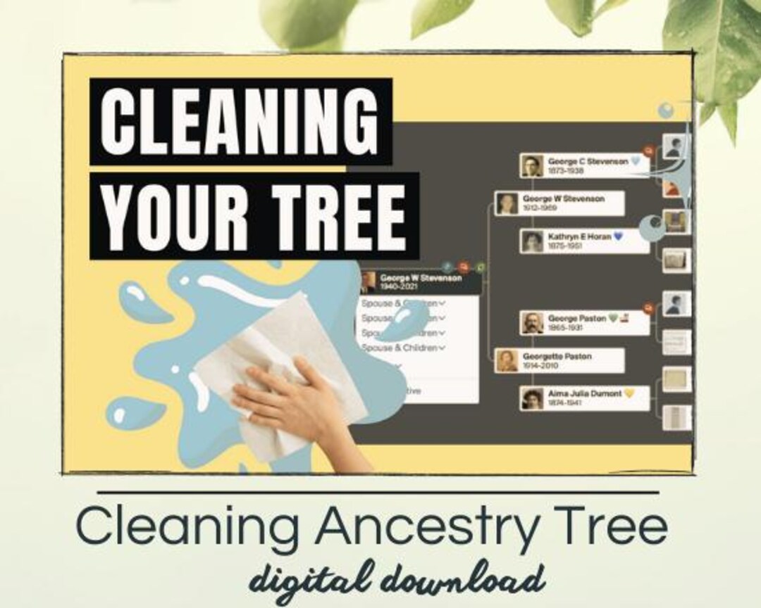 Tree Cleaning Chart Cleaning up Your Ancestry Tree - Etsy