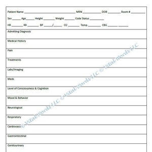 Nurse Head to Toe Assessment Single Page for Notes