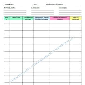 Charge Nurse Manager Day Planner (Version 1)