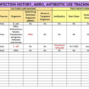 Infection History, Antibiotic Use, MDRO, and Transmission Based Precautions Tracking List
