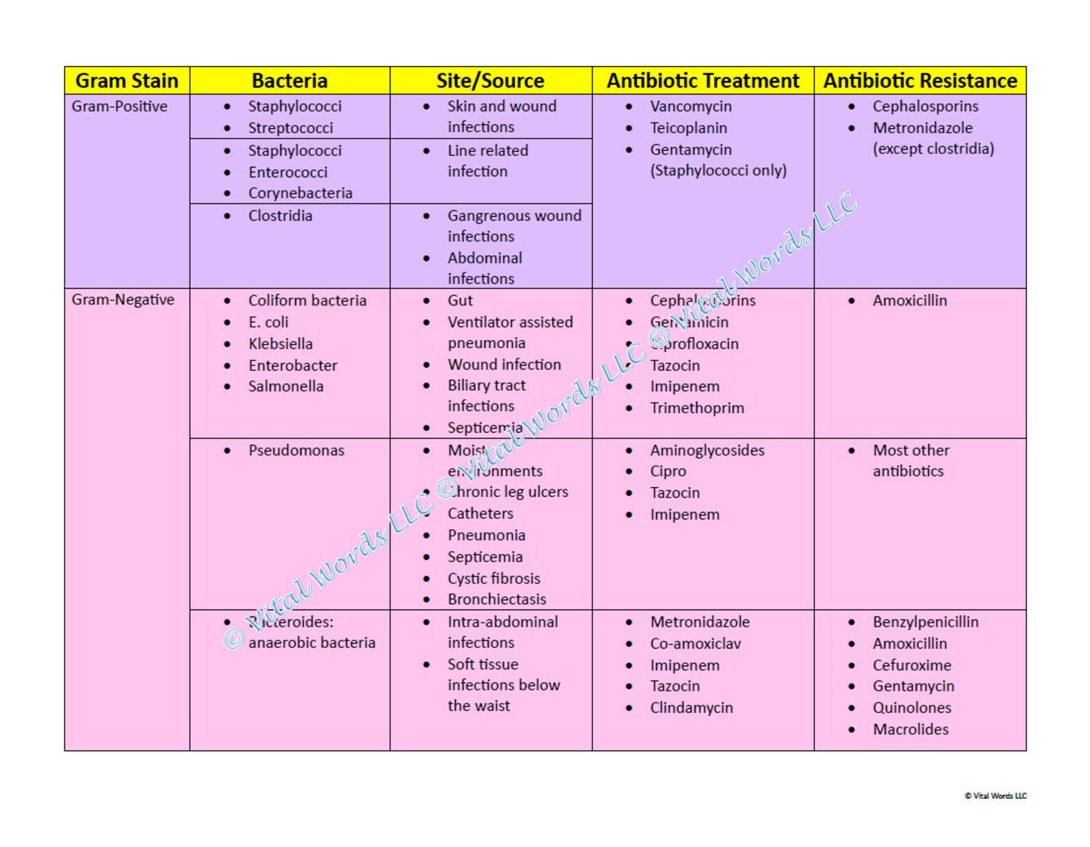 Bacterial Organisms and Antibiotic Treatment Chart - Etsy