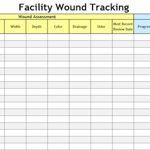 Pressure Injury and Wound Tracking Spreadsheet