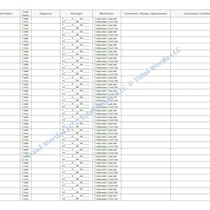 28 Patients/Residents Nurse Report Sheet LTC/SNF/ICF (Version 2)