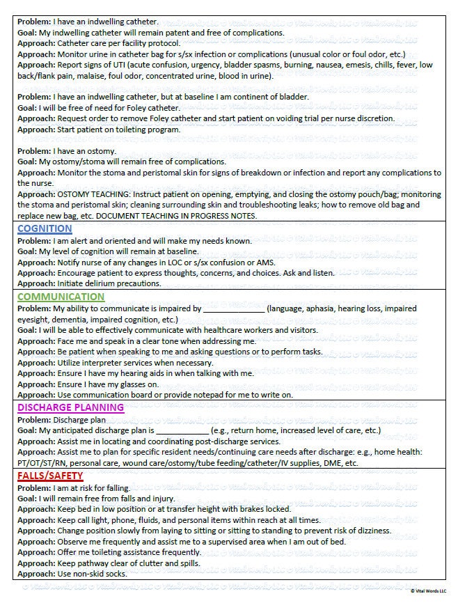 Basic Care Plan Template