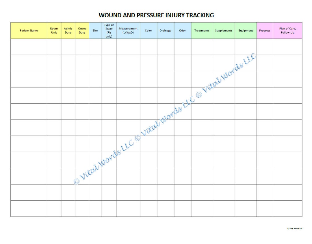 Pressure Injury and Wound Tracking Spreadsheet version 2 Etsy