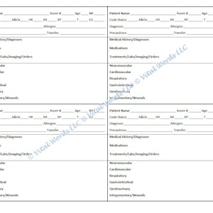 4 Patients/Residents Nurse Assessment Report Sheet LTC/SNF/ICF