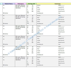 6 Patients/Residents Nurse Report Sheet
