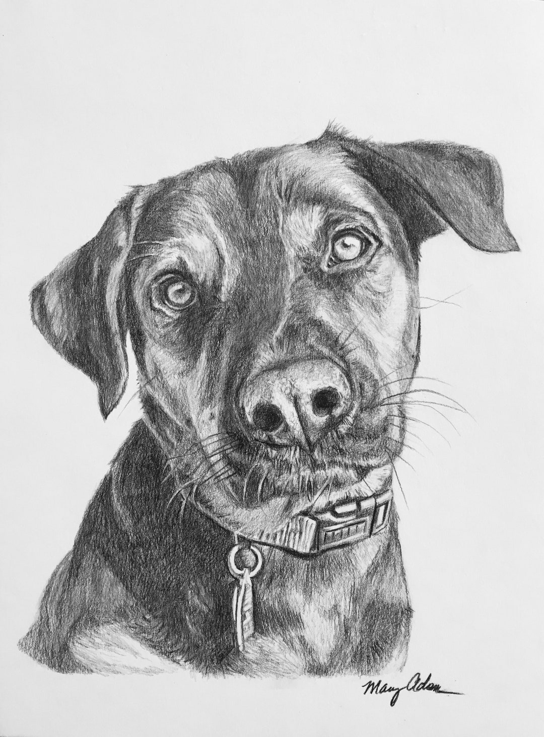 Custom Graphite Portrait of a Pet - Etsy