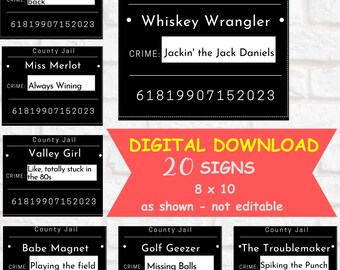 Mugshot Sign Party Props, 20 Printable Jail Signs (Digital Download)