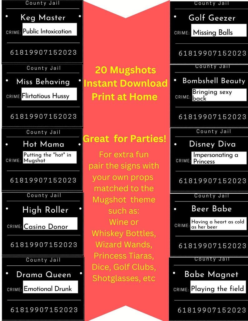 Jail Intake Signs Mugshot Sign Party Props, 20 Printable Jail Signs (digital Download) - Etsy